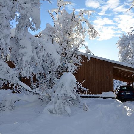 Chalet Cipres Las Trancas Kültér fotó