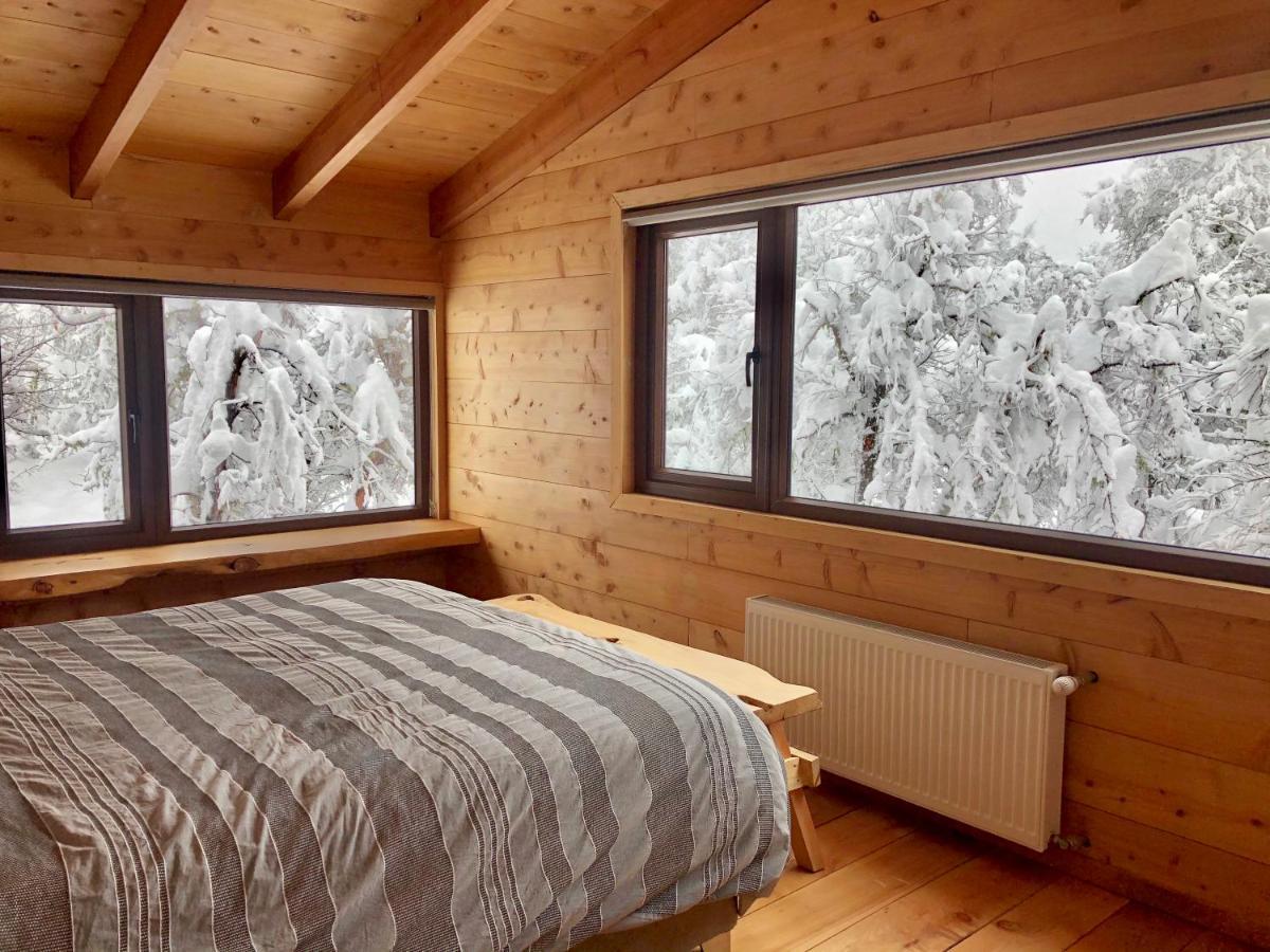 Chalet Cipres Las Trancas Kültér fotó