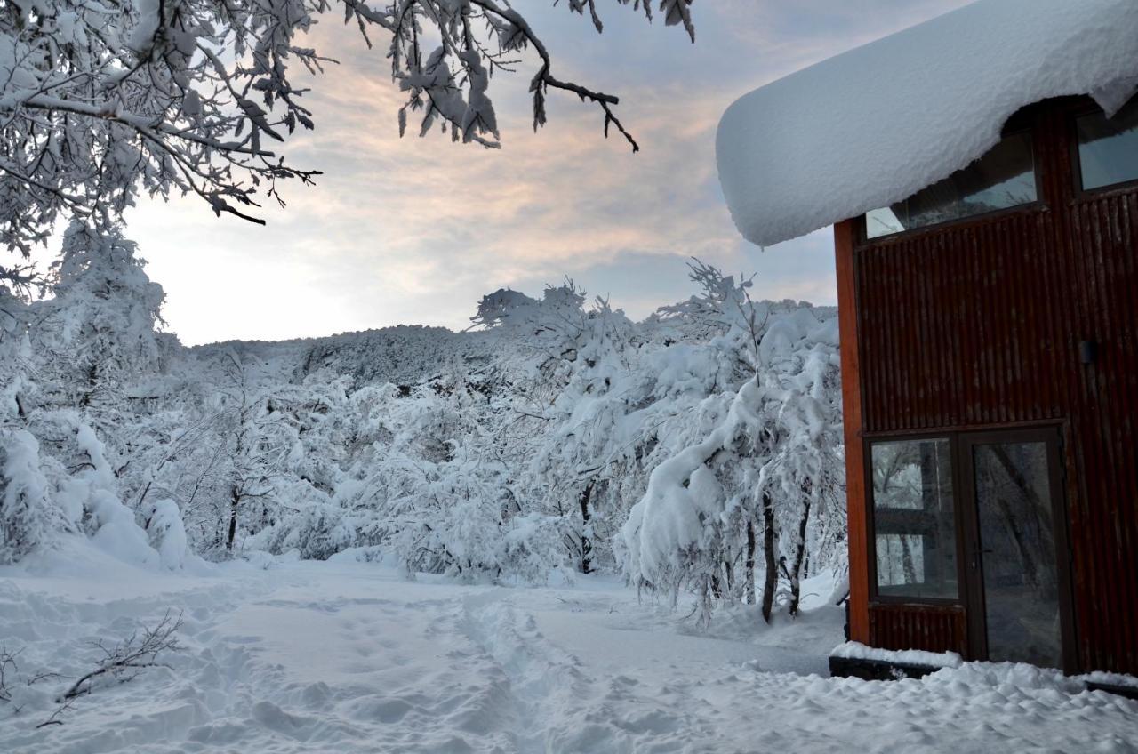 Chalet Cipres Las Trancas Kültér fotó