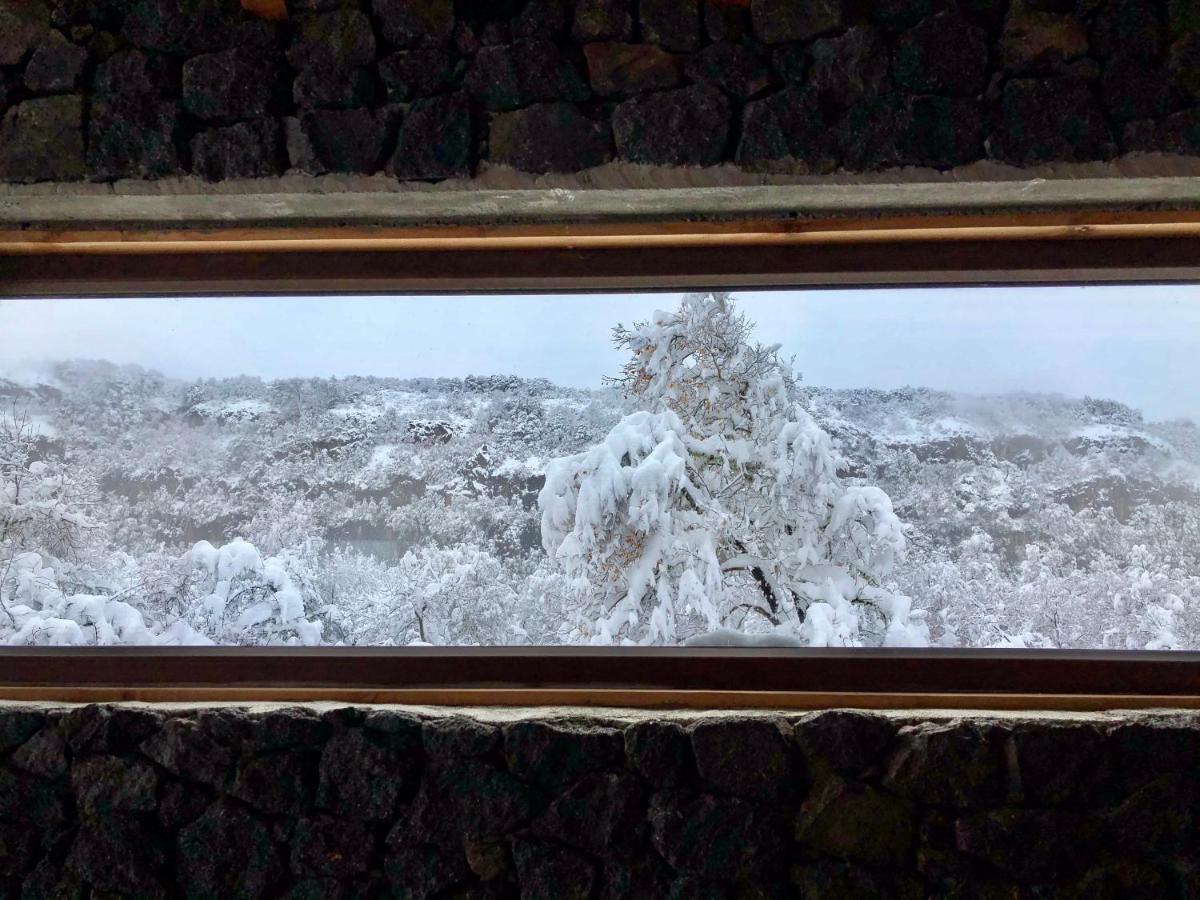 Chalet Cipres Las Trancas Kültér fotó