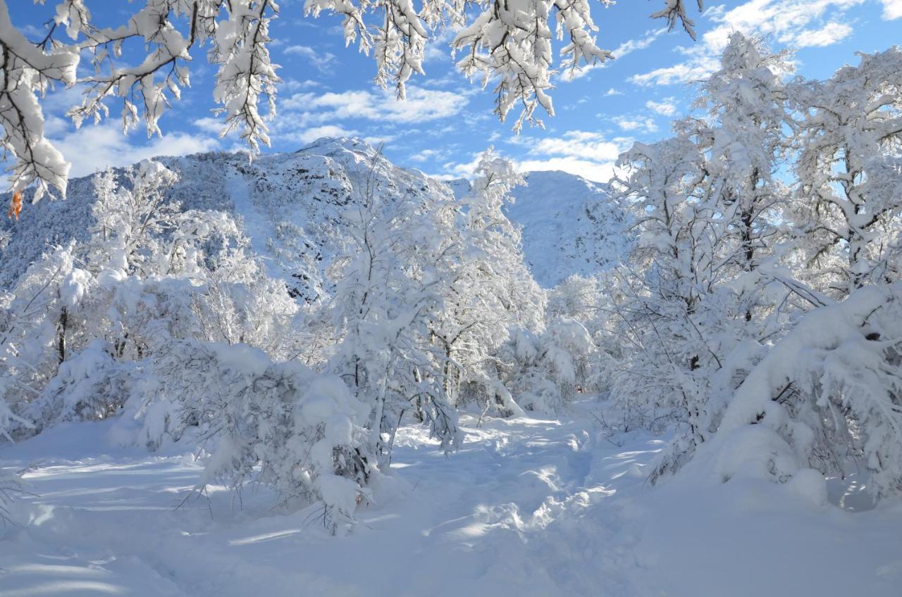 Chalet Cipres Las Trancas Kültér fotó