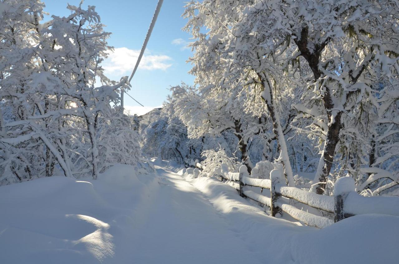 Chalet Cipres Las Trancas Kültér fotó