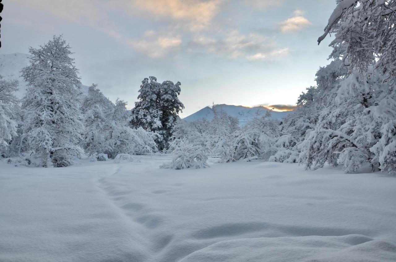 Chalet Cipres Las Trancas Kültér fotó