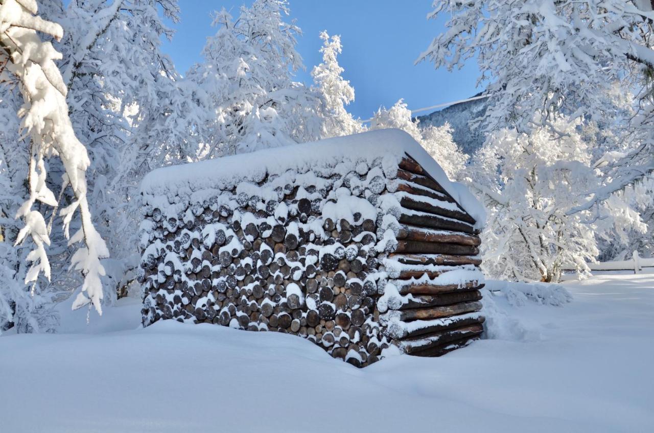 Chalet Cipres Las Trancas Kültér fotó