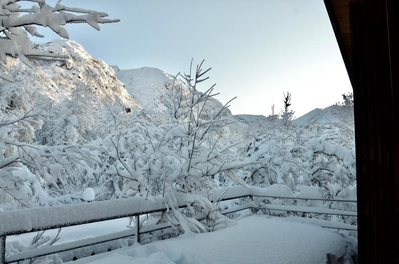 Chalet Cipres Las Trancas Kültér fotó