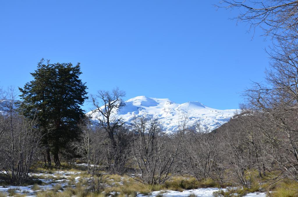 Chalet Cipres Las Trancas Kültér fotó