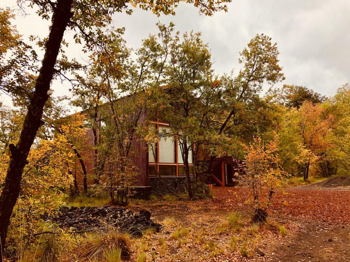 Chalet Cipres Las Trancas Kültér fotó