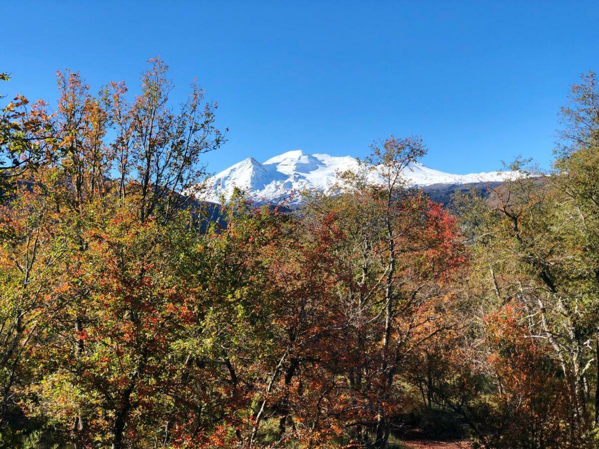 Chalet Cipres Las Trancas Kültér fotó